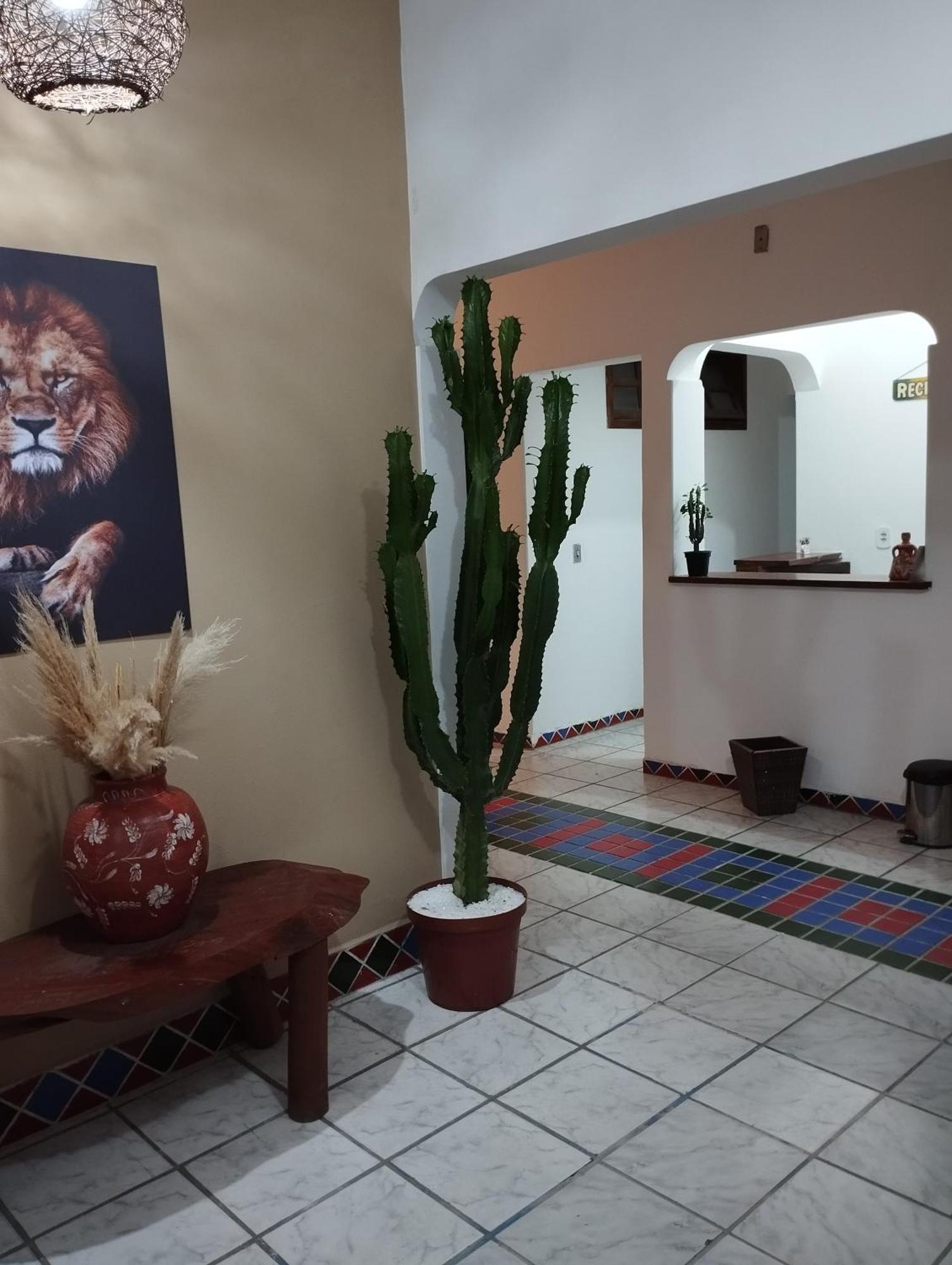 Pousada Ray Sol - Centro Arraial D Ajuda Porto Seguro Extérieur photo